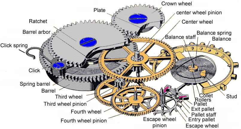 Visual Diagram of a Mechanical Watch Movement - Esslinger Watchmaker  Supplies Blog